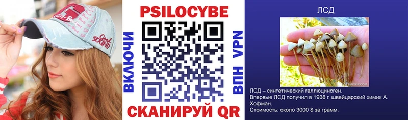 Псилоцибиновые грибы мицелий  Купить где  Кудрово 